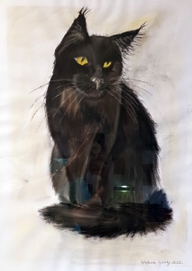 Tom in Pastell